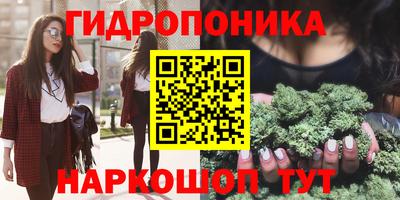 винт Будённовск