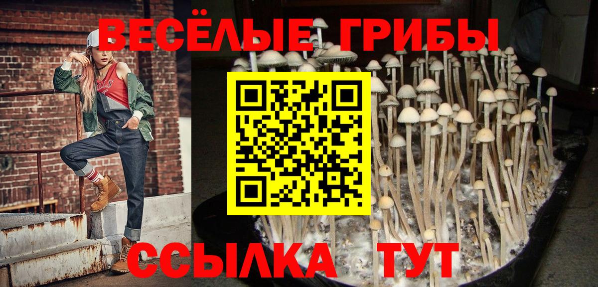 Сургут  Галлюциногенные грибы Magic Shrooms  Вход с VPN 